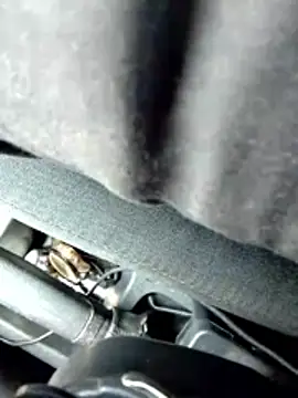 LifeLineSL online show from 03.04.26