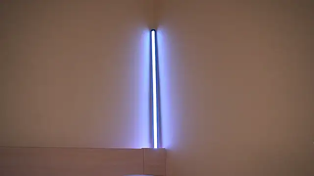 Liuba Fox online show from 02.23.26