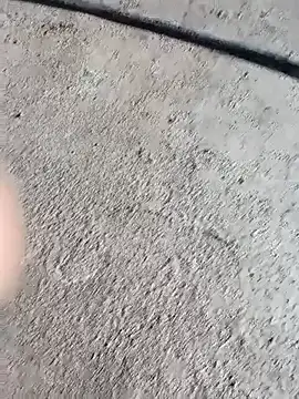 Bengali BULL1 online show from 10.04.25