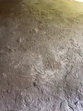 Bengali BULL1 online show from 10.31.25