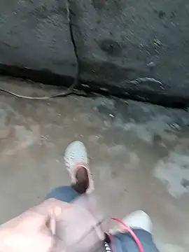 Bengali BULL1 online show from 11.14.25