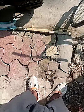 Bengali BULL1 online show from 11.20.25