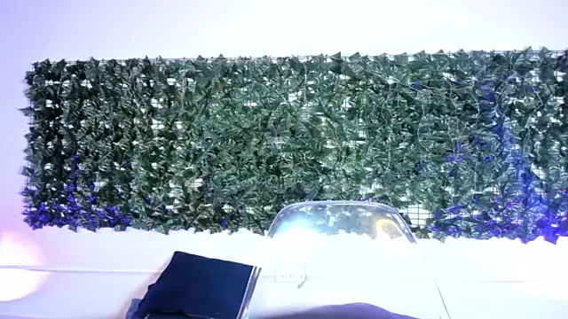 AbbyTaylorr online show from 03.02.26