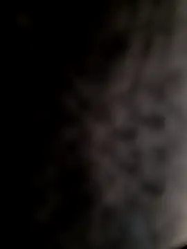 mogli444 online show from 12.08.24