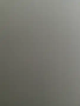 Snapshot of Bull8 chatting on 02.26.25 Bull8 online show from 02.26.25