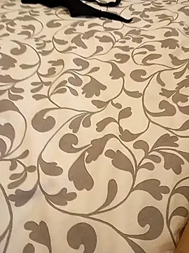 Snapshot of Bull8 chatting on 03.16.25 Bull8 online show from 03.16.25