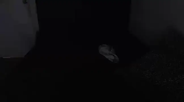 Snapshot of Chanelsexyy chatting on 03.16.25 Chanelsexyy online show from 03.16.25