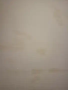 Adivaaa online show from 03.25.26