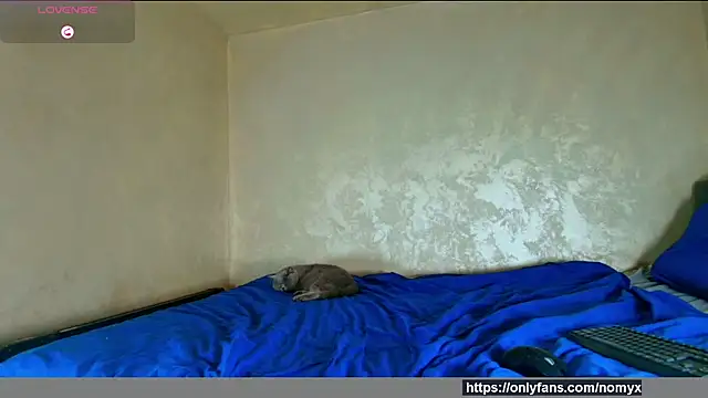 Snapshot of angeliquevany chatting on 12.02.25 angeliquevany online show from 12.02.25