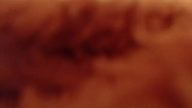 larawet online show from 01.04.25