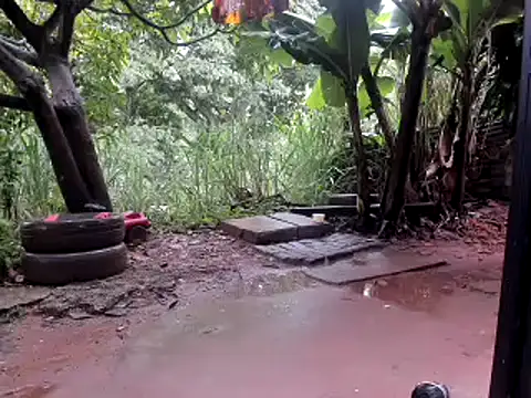 venusandzeusxh online show from 10.14.25