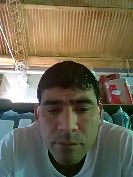 Snapshot of wa379 chatting on 02.05.26 wa379 online show from 02.05.26