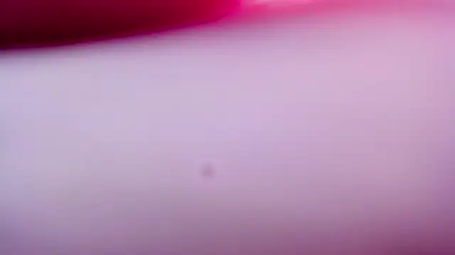 Snapshot of Shyfantasies chatting on 04.07.26 Shyfantasies online show from 04.07.26