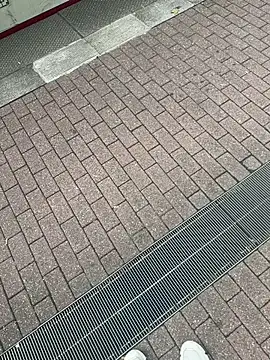 Lionayowe online show from 09.27.25