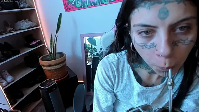 handipandapok online show from 11.30.25