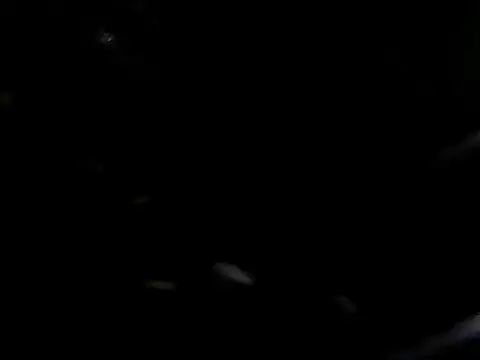 giga-bite online show from 10.10.25