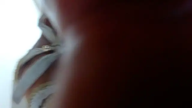 Ixchel Anaid online show from 03.14.25