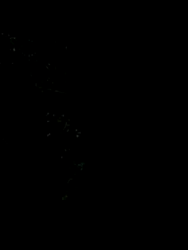 Ixchel Anaid online show from 01.05.26