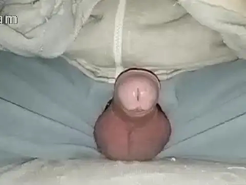 Bigdick666cm online show from 01.31.25