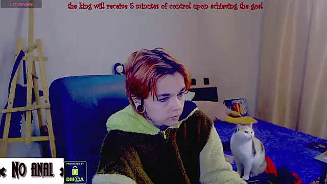 Dark  Elf online show from 04.11.26