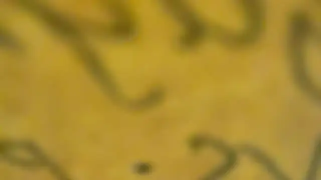 Snapshot of fmodel chatting on 01.03.25 fmodel online show from 01.03.25