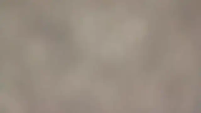 Snapshot of fmodel chatting on 09.11.25 fmodel online show from 09.11.25