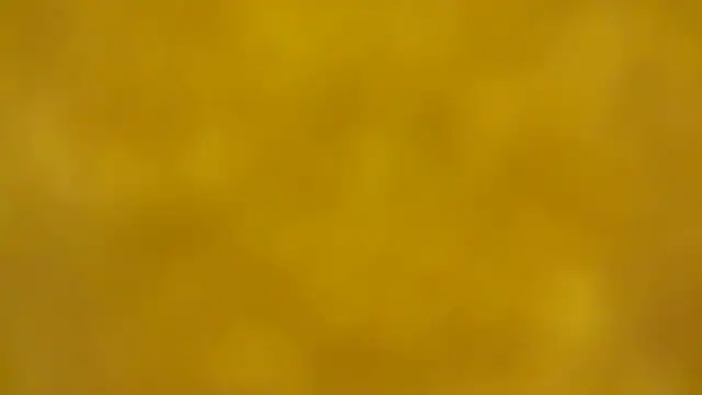 fmodel online show from 12.16.25