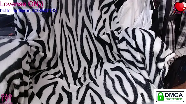 sweet cute cat online show from 01.18.26