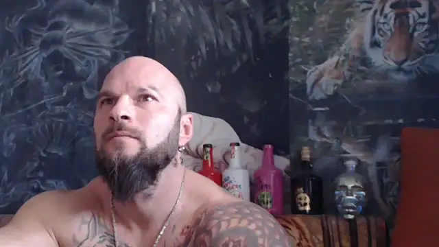 viking 30 online show from 11.12.25