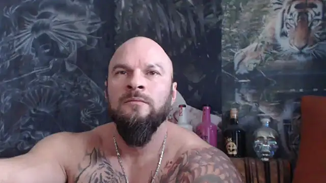 viking 30 online show from 11.21.25