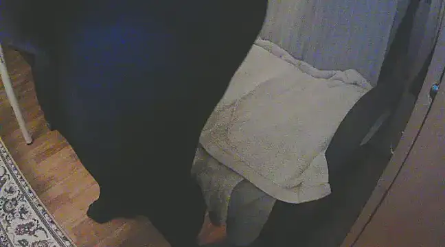 szadamo online show from 12.11.24