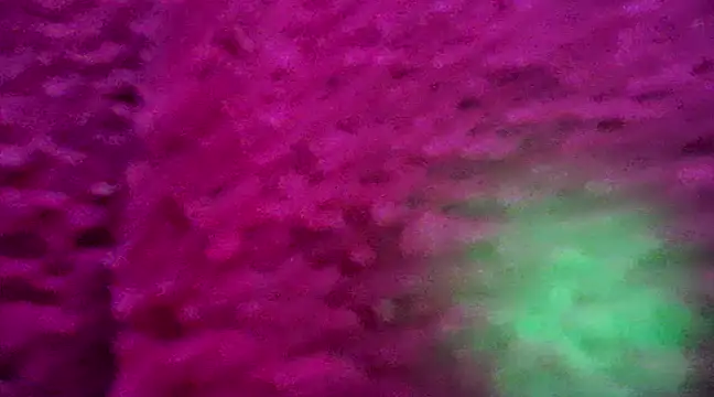 CZboobs online show from 02.26.25