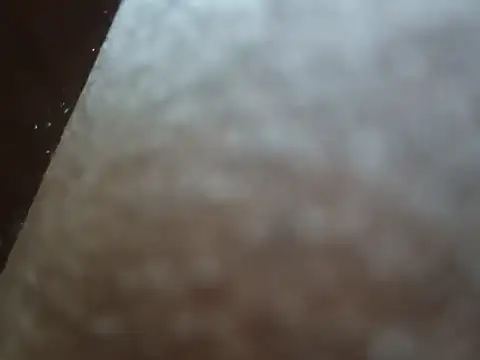 PrinceNoAlbert online show from 12.06.24