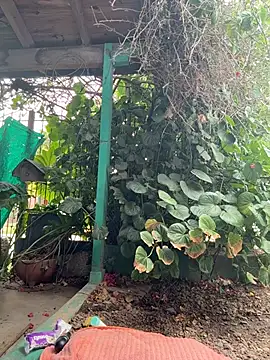 Snapshot of sofy_alone chatting on 02.02.26 sofy alone online show from 02.02.26