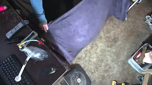 sex4fun 21 online show from 03.02.25