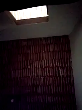 catdool online show from 01.22.25