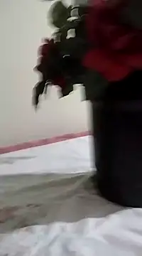 catdool online show from 01.23.25