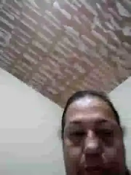 catdool online show from 02.08.25