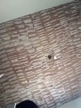 catdool online show from 02.20.25