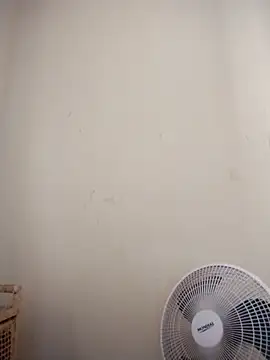 catdool online show from 02.27.25