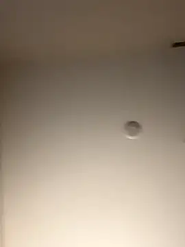 DancingLemonade online show from 11.16.25