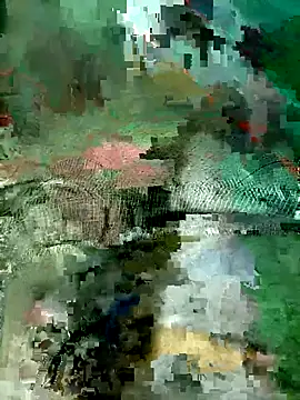 Subhajit12Jana23 online show from 03.19.26