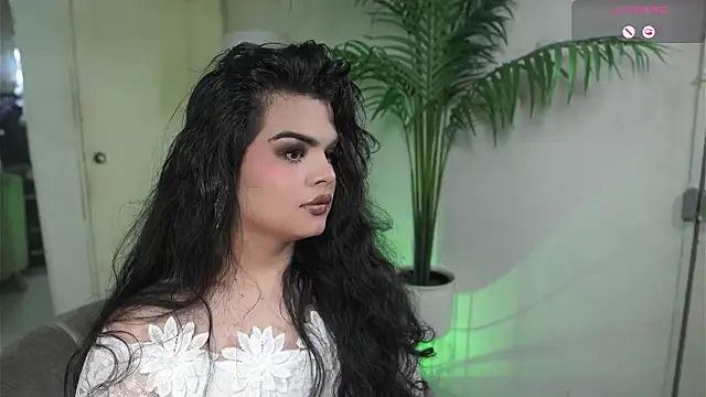 artechloe online show from 10.08.25