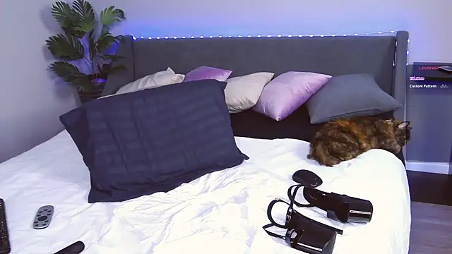 EvaMoses online show from 02.28.25