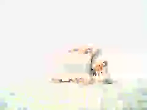 mellow smoke online show from 04.10.26