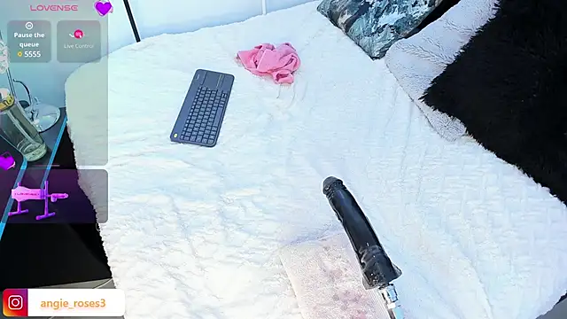 angiee roses online show from 12.17.24