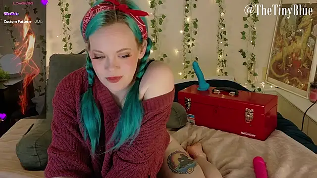 Snapshot of thetinyblue chatting on 02.20.25 thetinyblue online show from 02.20.25