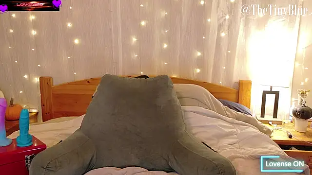 Snapshot of thetinyblue chatting on 10.15.25 thetinyblue online show from 10.15.25