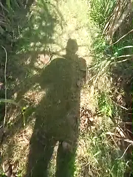 FinableKnee online show from 11.30.25