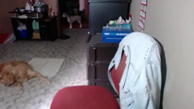 Barbiegomez online show from 03.17.26